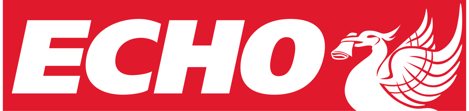 Liverpool_Echo_logo.svg